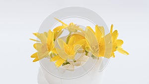 Yellow flowers in an egg shell on a yellow background. Copy space