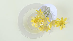 Yellow flowers in an egg shell on a yellow background. Copy space