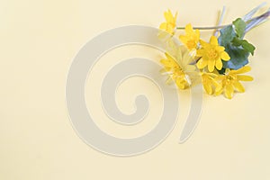 Yellow flowers in an egg shell on a yellow background. Copy space