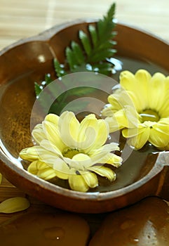 Yellow flowers floating in wooden bowl.