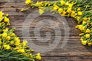 Yellow flowers are framed on a wooden background, beautiful spring and festive background