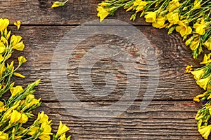 Yellow flowers are framed on a wooden background, beautiful spring and festive background