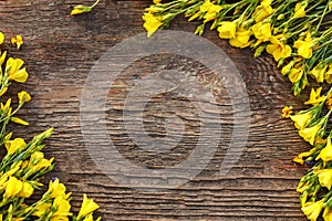 Yellow flowers are framed on a wooden background, beautiful spring and festive background