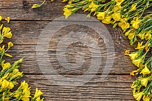 Yellow flowers are framed on a wooden background, beautiful spring and festive background