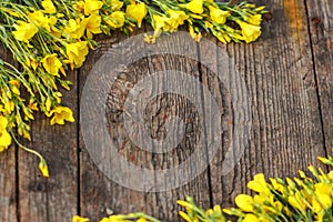 Yellow flowers are framed on a wooden background, beautiful spring and festive background