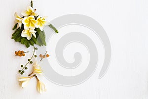 Yellow flowers frangipani local flora of asia arrangement flat lay postcard style