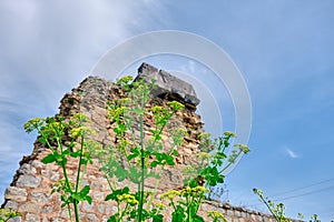 Old and ancient city wall in nicaea iznik Bursa photo