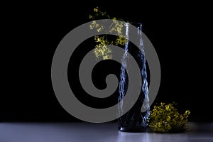 Yellow flowers from lady`s mantle Alchemilla in a dark blue glass vase against a black background with copy space, selected