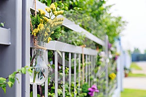 Yellow flowers in light bulb shaped vase hanging on home fence.