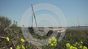 Yellow flowers and old wooden fisherman`s boat in Ria Formosa Natural Park, Portugal
