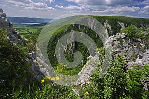 Žluté květy nad Zádielskou Tiesnavou soutěskou