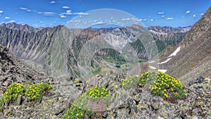 Yellow flowers (Potentilla biflora) on a background of mountain ranges photo