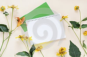 Yellow flowers and stems of coreopsis, notebook, on a light back