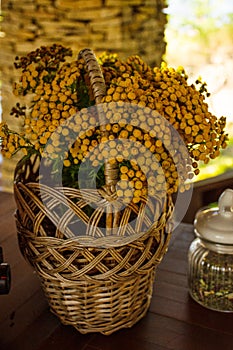 Yellow flowers of tansy in a basket on the veranda. Vertical photo of rural still life
