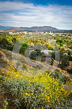 Yellow flowers and view of distant mountains and Riverside