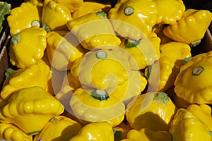 Yellow Flying Saucer Squash