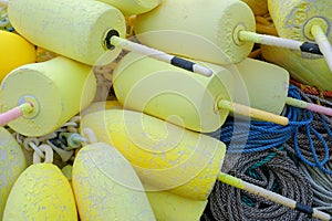 Yellow foam lobster floats on top of there nylon ropes used in t