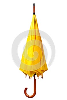 Yellow folded umbrella