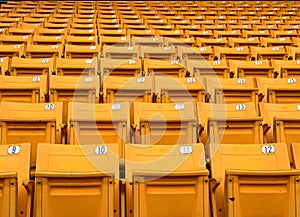 Yellow folding chairs lined on the stadium sport