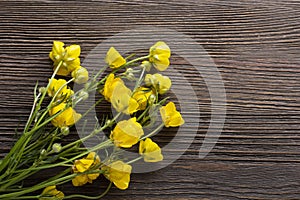 Yellow Forest Flower on wood background. Buttercup wildflower grows in meadows of Europe