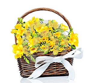 Yellow freesia flowers in the basket