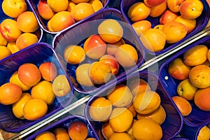 Yellow fresh delicious plum in blue plastic boxes at food market. May be used for agriculure background, top high angle