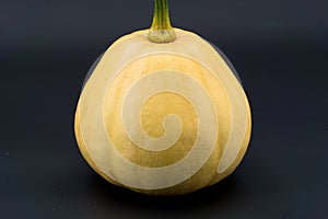 Yellow pumpkin