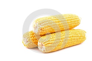 Yellow fresh raw corn cobs isolated on white background