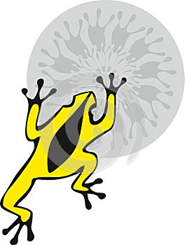 Yellow Frog