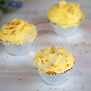 Yellow Frosted Cupcakes in Silver cupcake paper