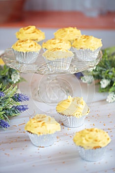 Yellow Frosted Cupcakes in Silver cupcake paper