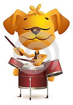 Yellow fun dog Drummer beats drums photo