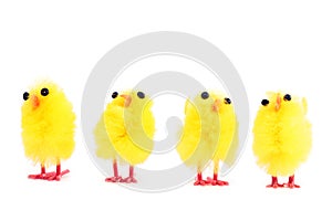 Yellow funny chickens