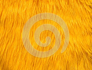 Yellow fur abstract texture