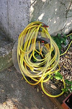 Yellow Garden Hose