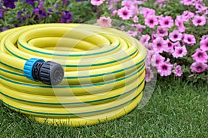 Yellow garden hose pipe