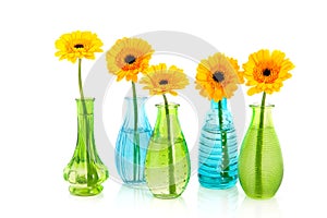 Yellow Gerber flowers in little glass vases