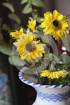 Yellow Gerbera daisy flowers in white and blue painted ceramic vase