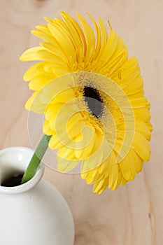 Yellow gerbera flower in vase with wooden background