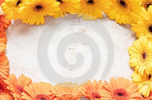 Yellow gerbera flowers on old paper background