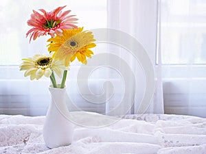 Yellow Gerbera jamesonii daisy flower in vase on table ,Barberton Transvaal daisy copy space for text or lettering flower in ce