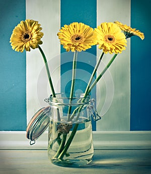 Yellow gerberas flowers in jar photo