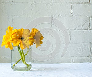 Yellow gerberas in glass jar