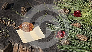 A yellow glittering Baltic amber pendant, a blank sheet of paper, and green pine branches with cones.