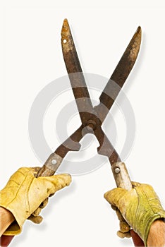 Yellow Gloves and Garden Shears photo