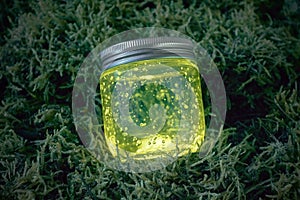 Yellow glowing jar on the moss