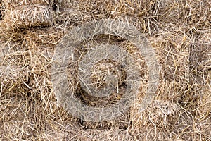 Yellow golden bales of wheat hay straw stacked in a heap in stubble field on a summer