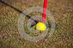Yellow golf ball in the hole
