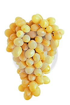 Yellow grape cluster