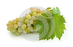 Yellow grape cluster